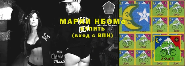 хмурый Верея