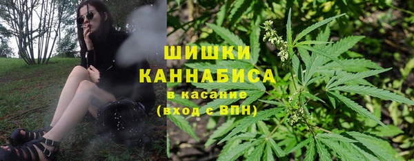 хмурый Верея