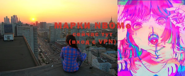 хмурый Верея