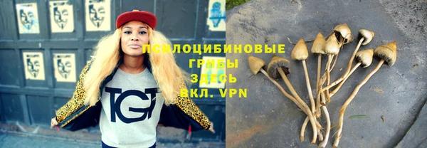 прущий лед Володарск